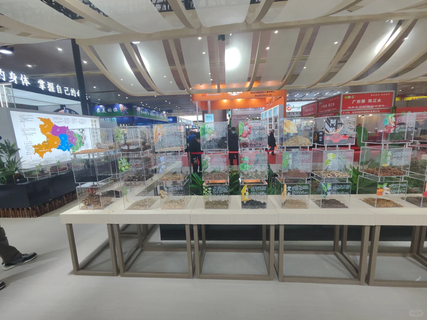 武展食博会有中药材实物展柜