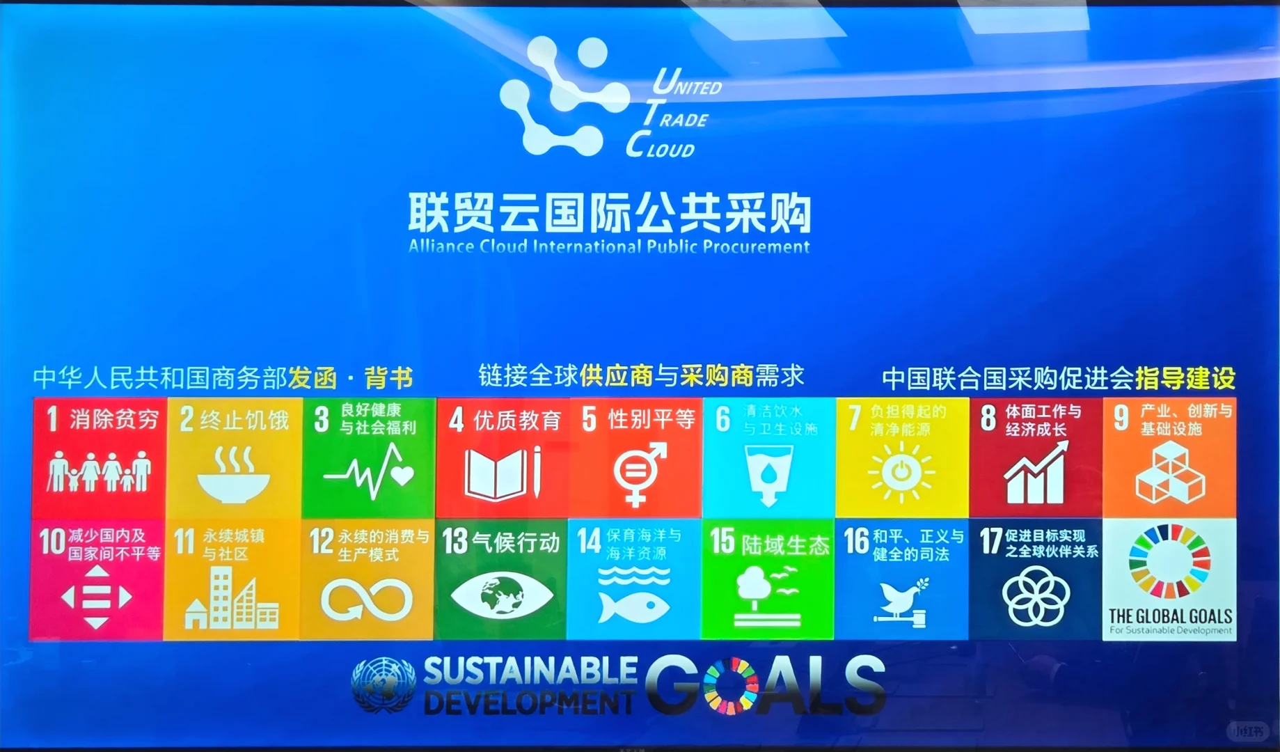 中国联合国采购促进会