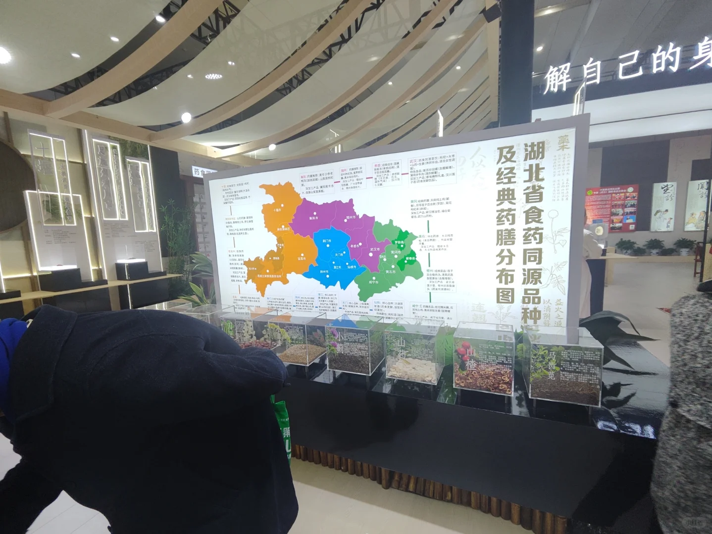 武展食博会有中药材实物展柜