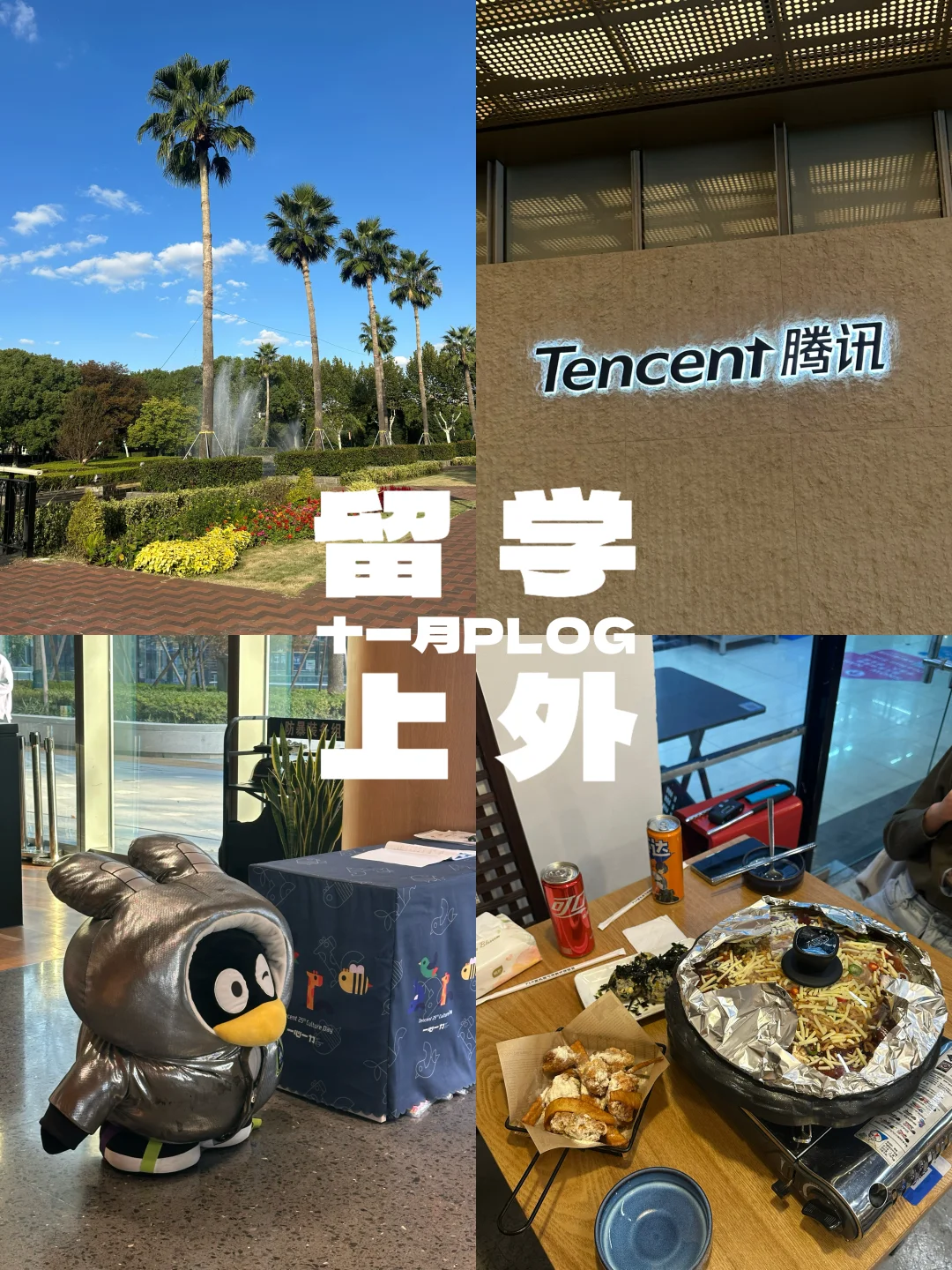 ???? // 留学上外?十一月PLOG