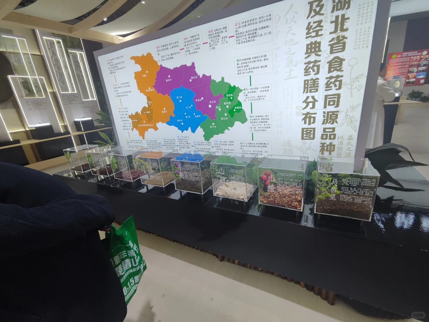 武展食博会有中药材实物展柜