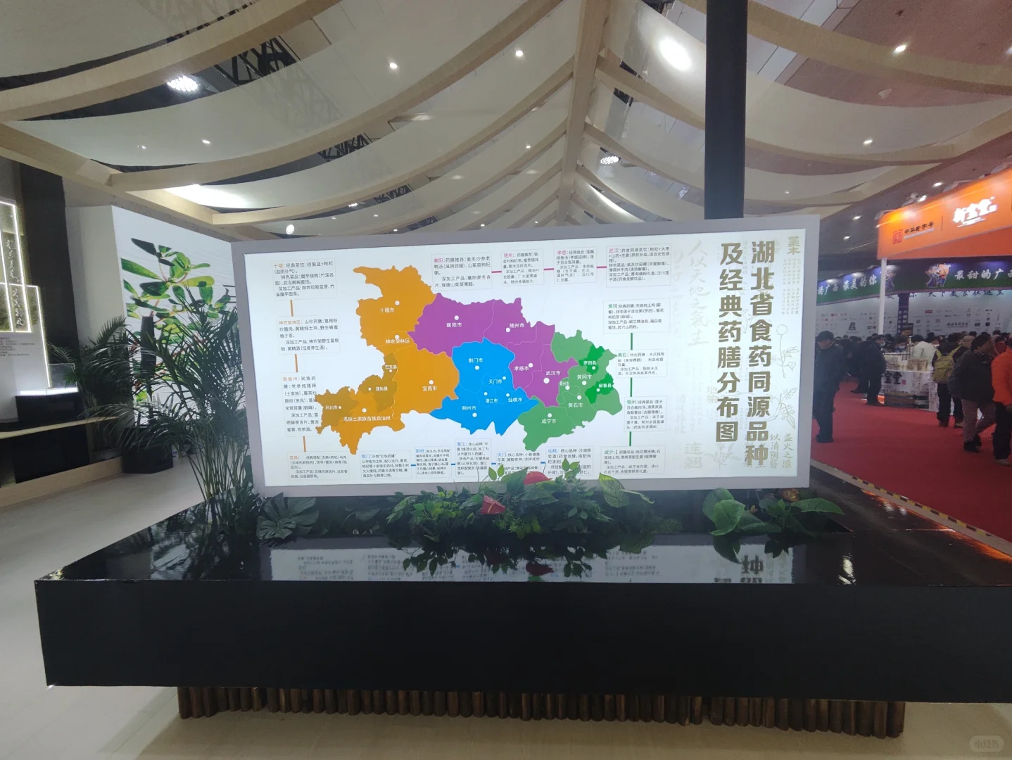 武展食博会有中药材实物展柜