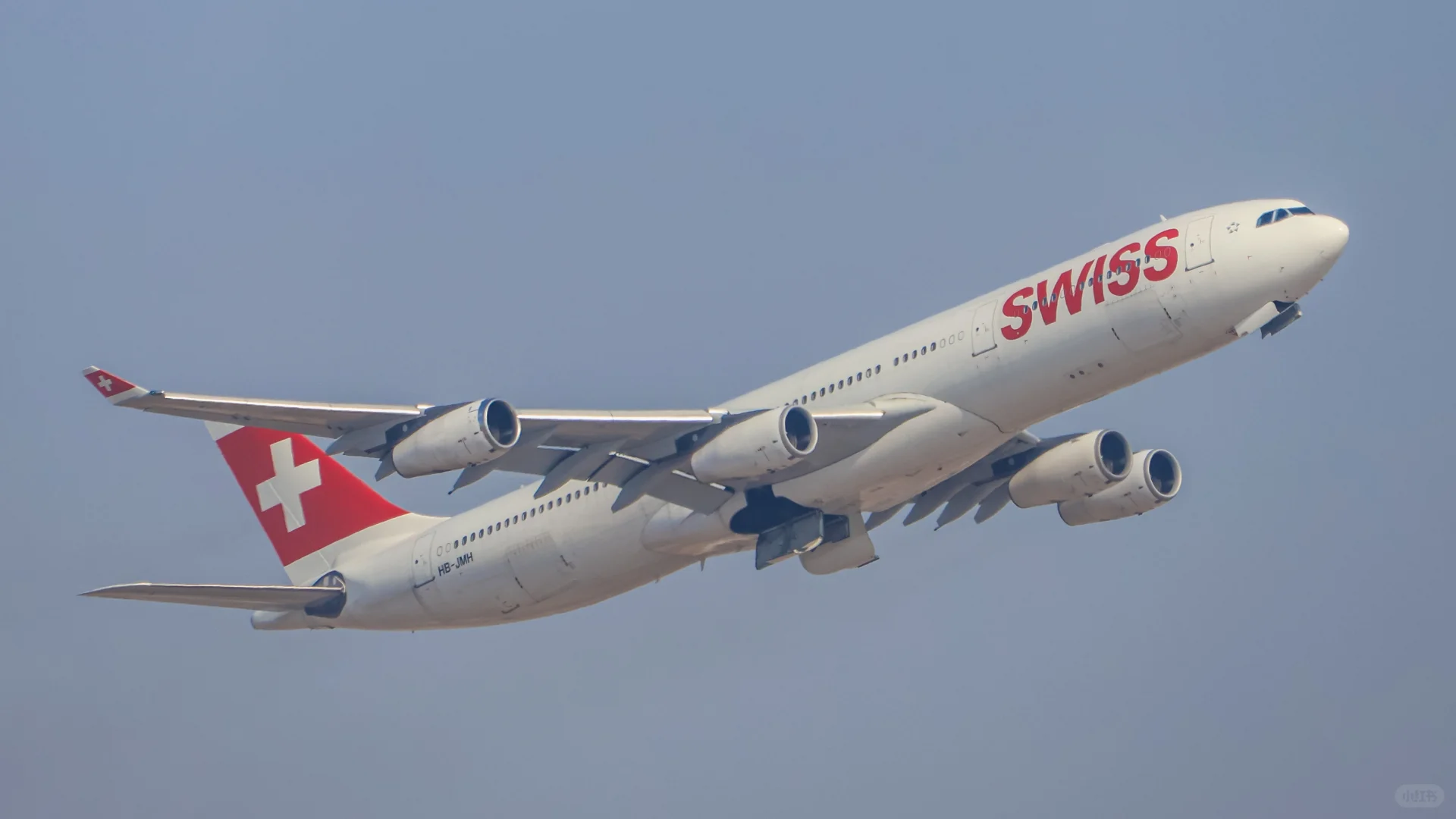 拍拉起给我拍爽了