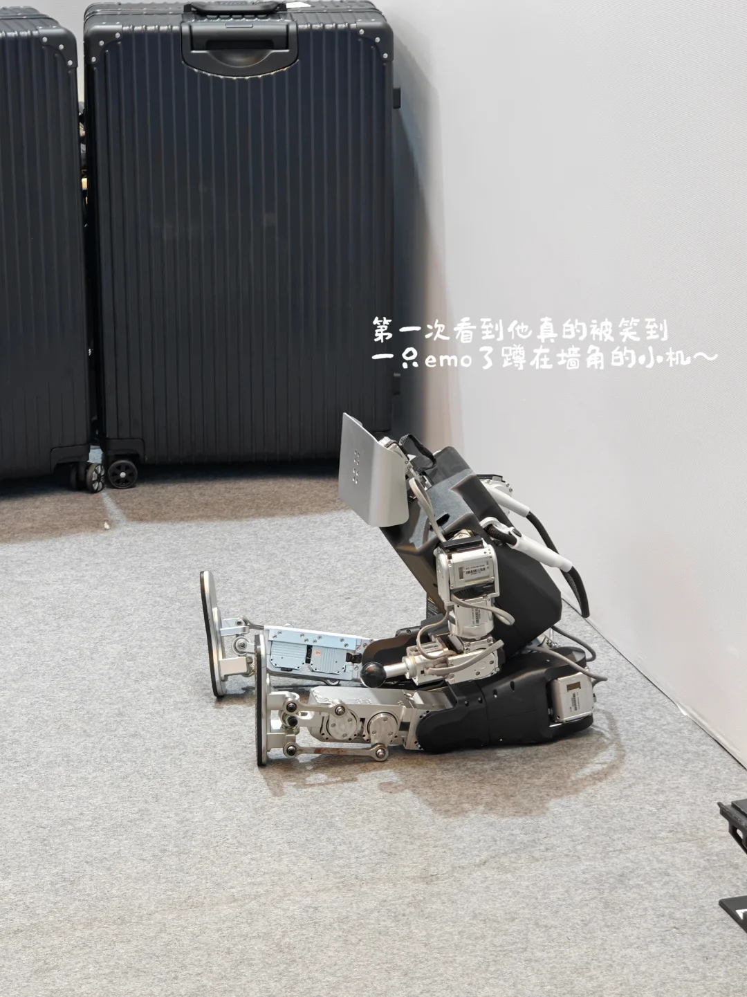 第138届广交会～叮?