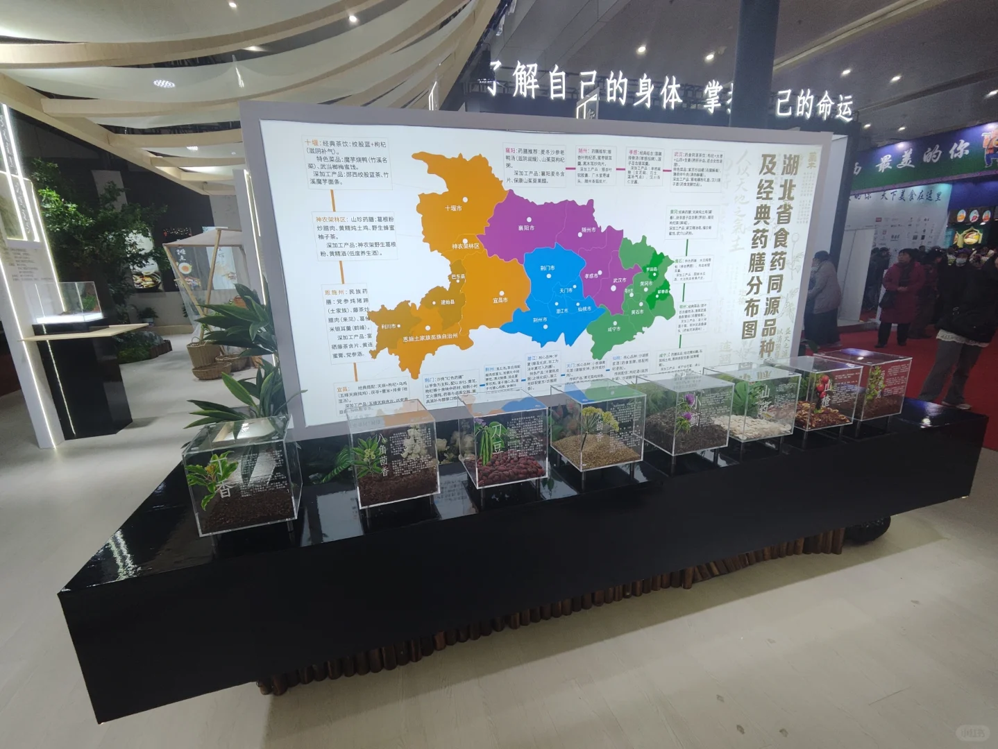 武展食博会有中药材实物展柜