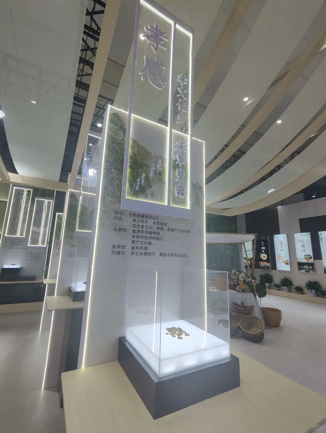 武展食博会有中药材实物展柜
