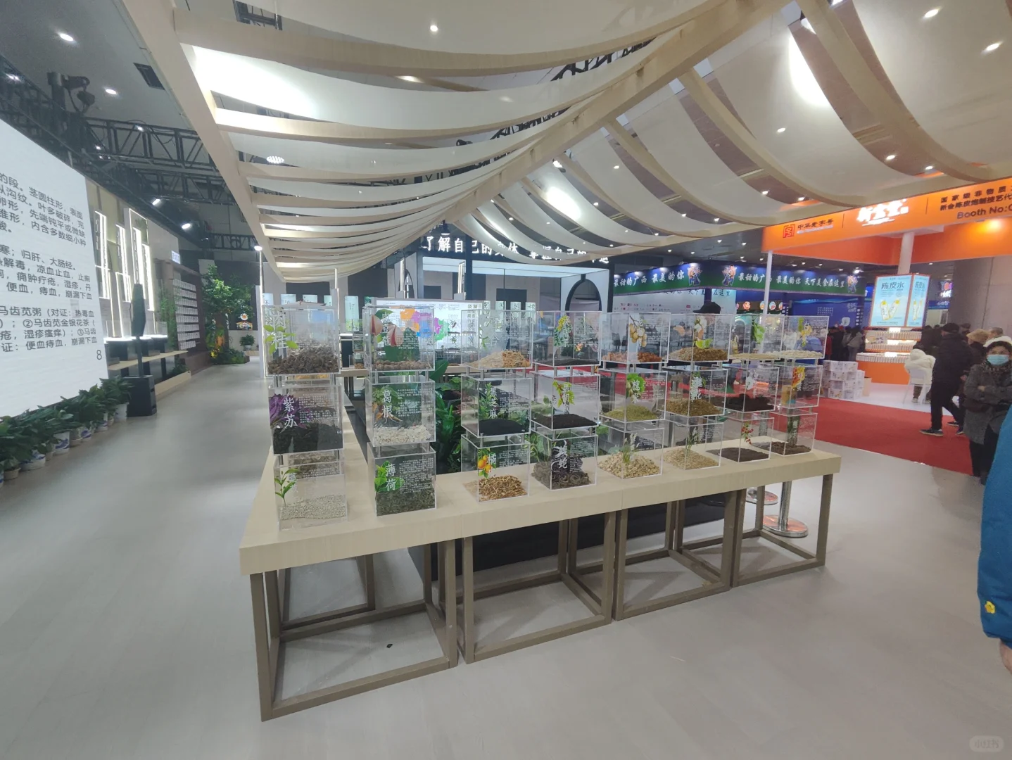 武展食博会有中药材实物展柜