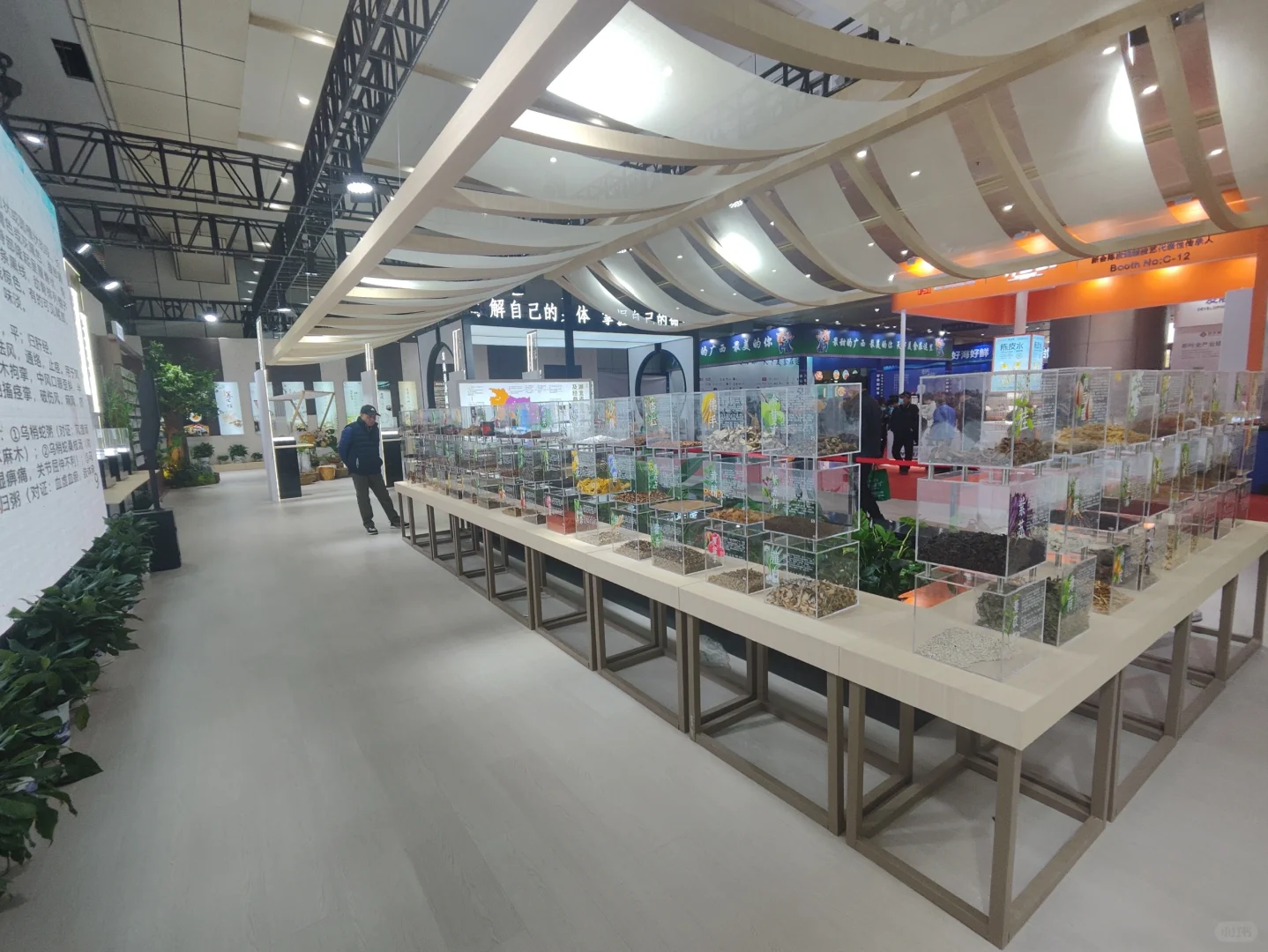 武展食博会有中药材实物展柜