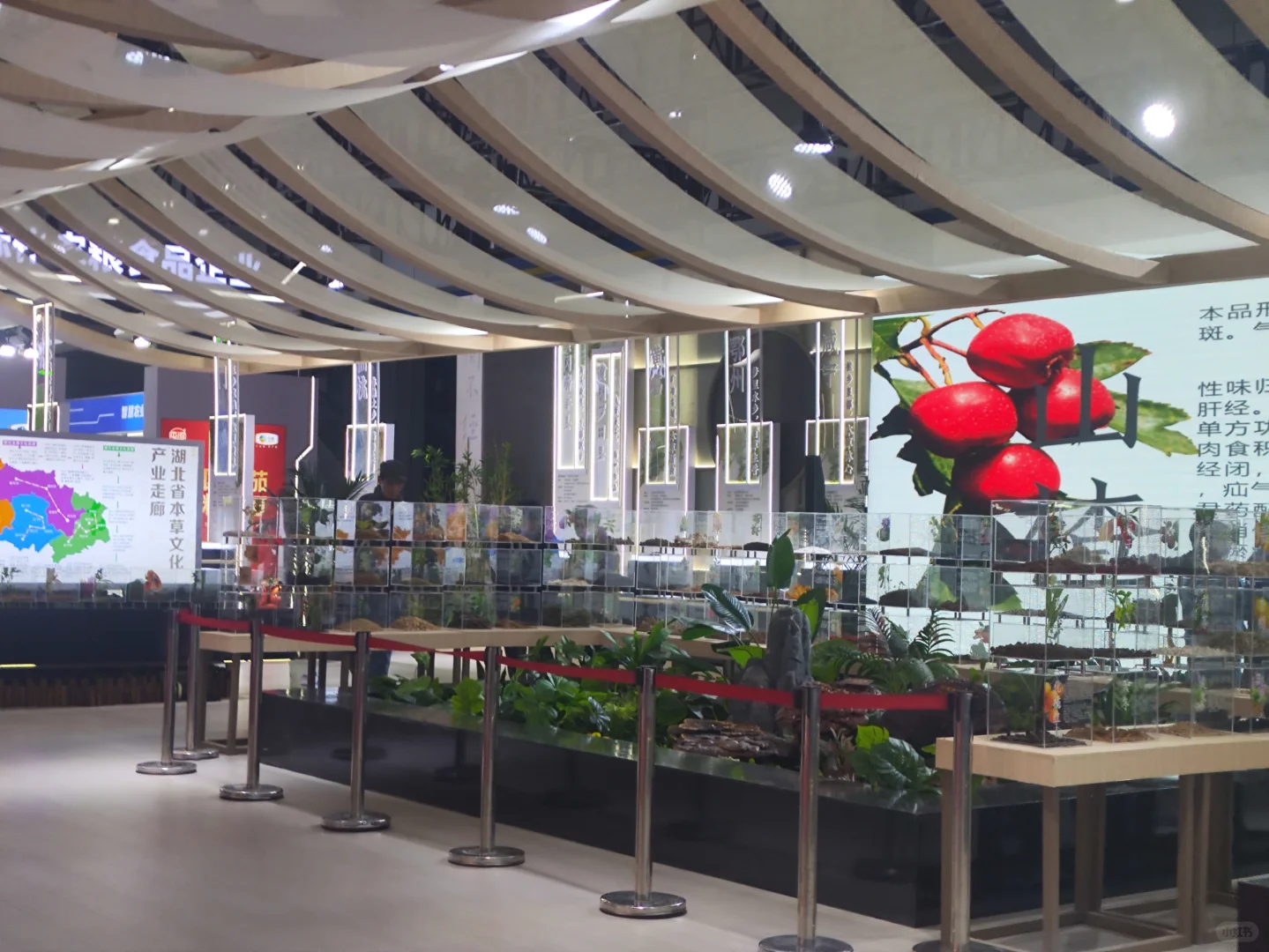 武展食博会有中药材实物展柜