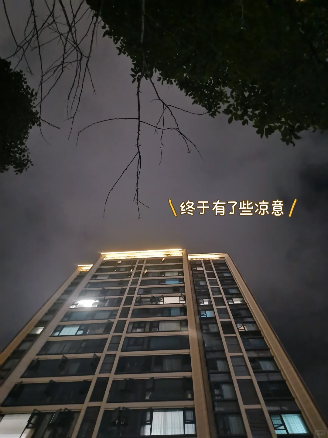 94上班+跨境 | 女生的最大贵人是独立的自己