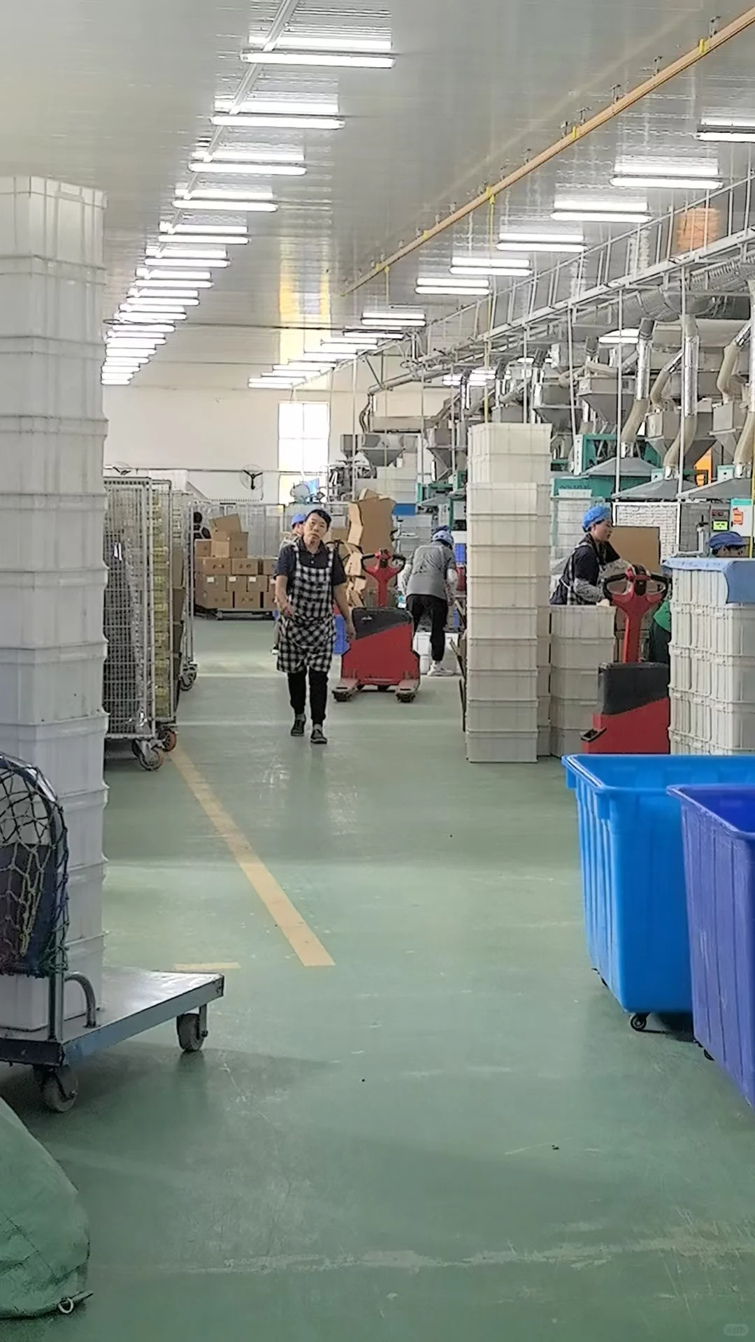 看看我们的米厂 尝尝我们的小米