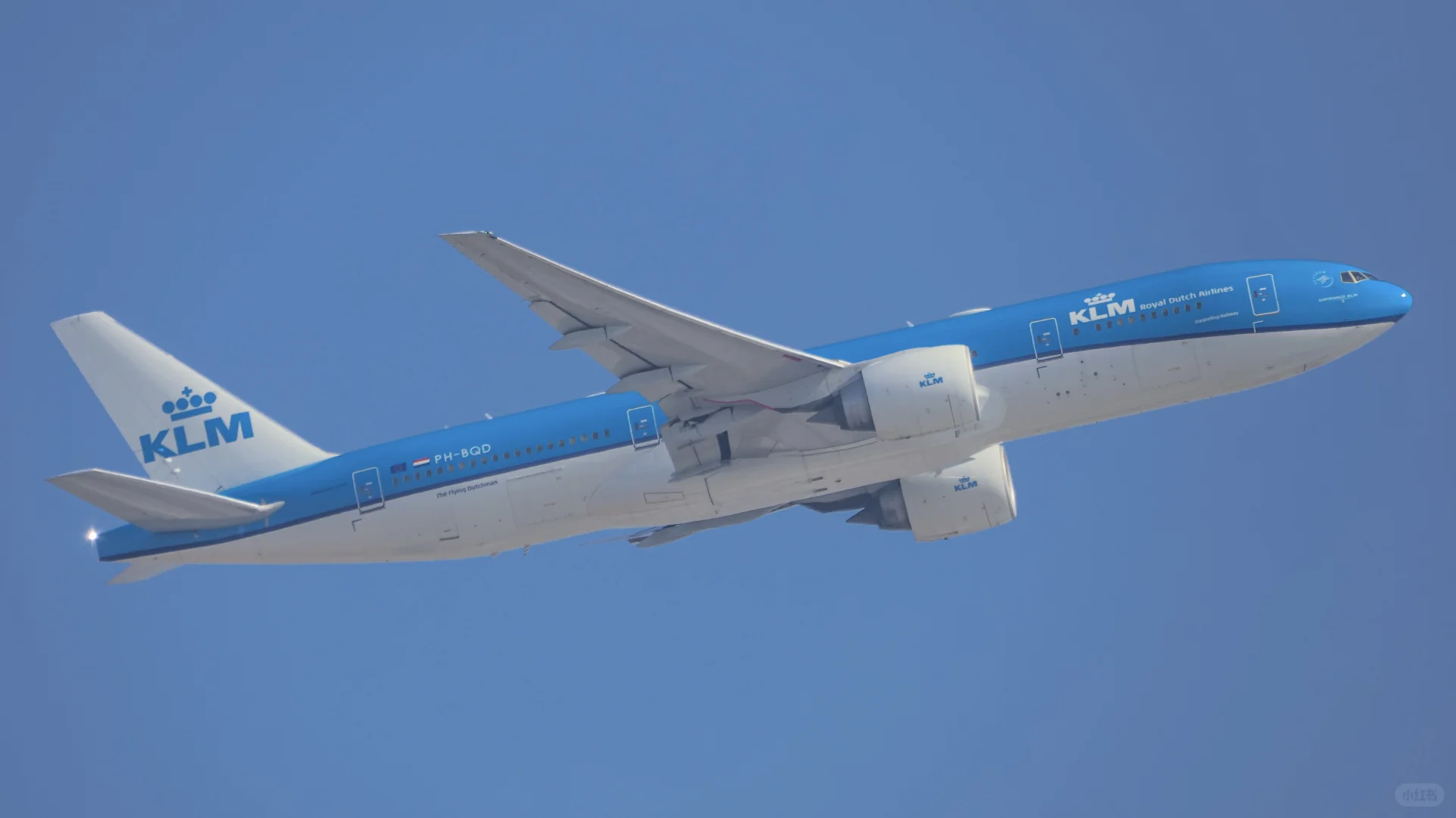 拍拉起给我拍爽了