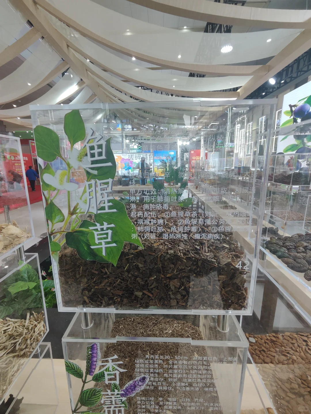 武展食博会有中药材实物展柜