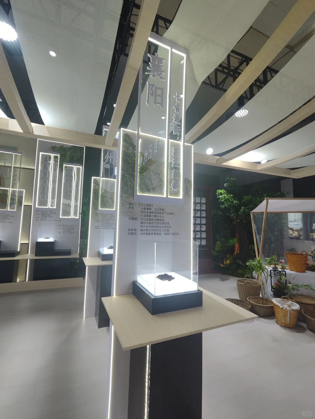 武展食博会有中药材实物展柜