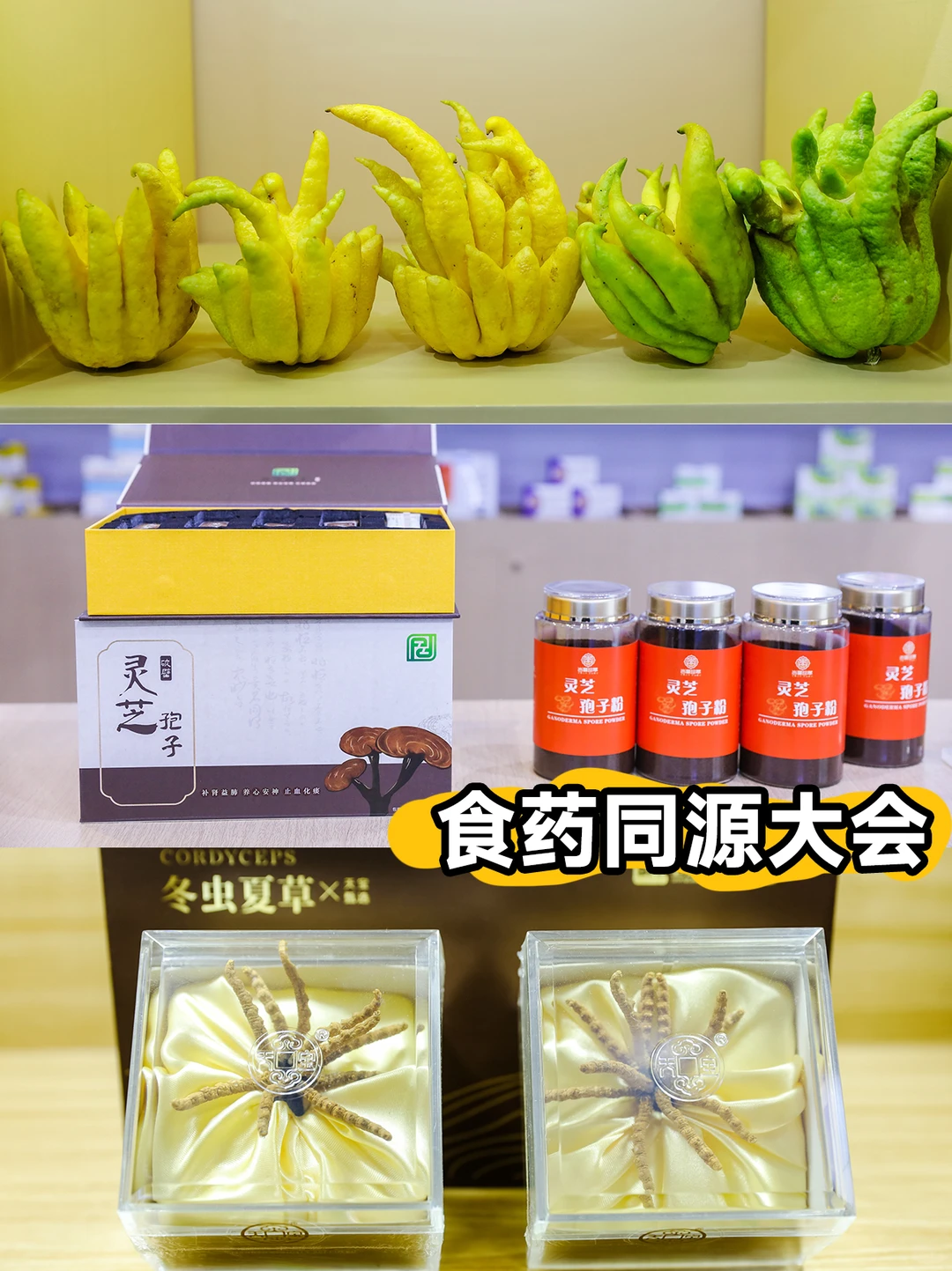 12.11-15深圳茶博会，喝茶淘器领福利?