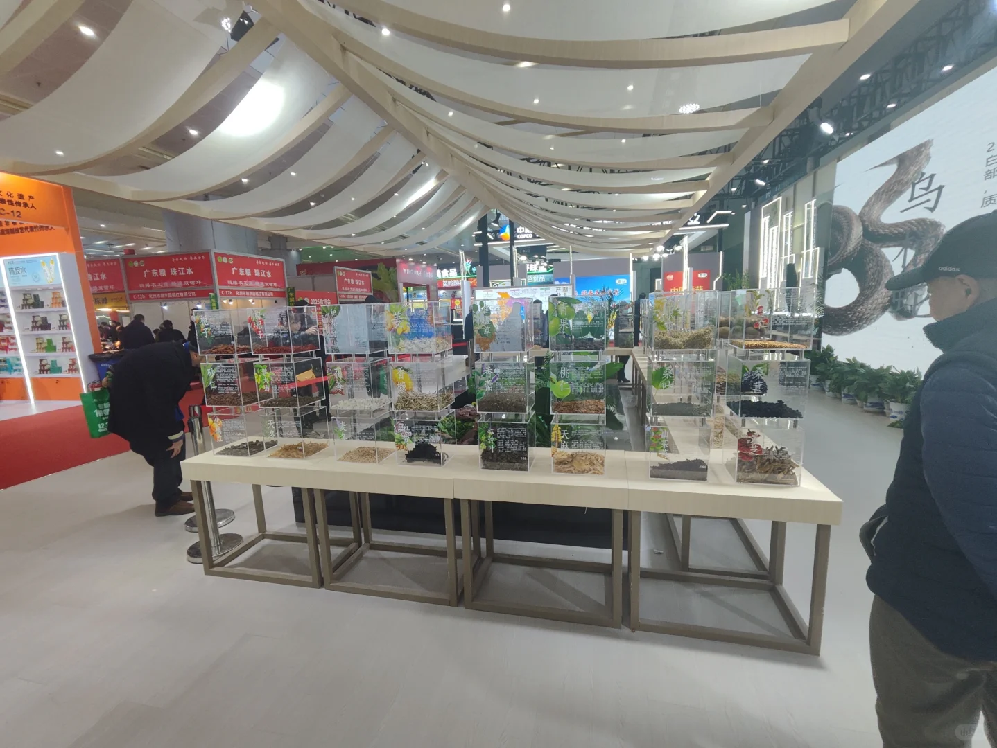 武展食博会有中药材实物展柜