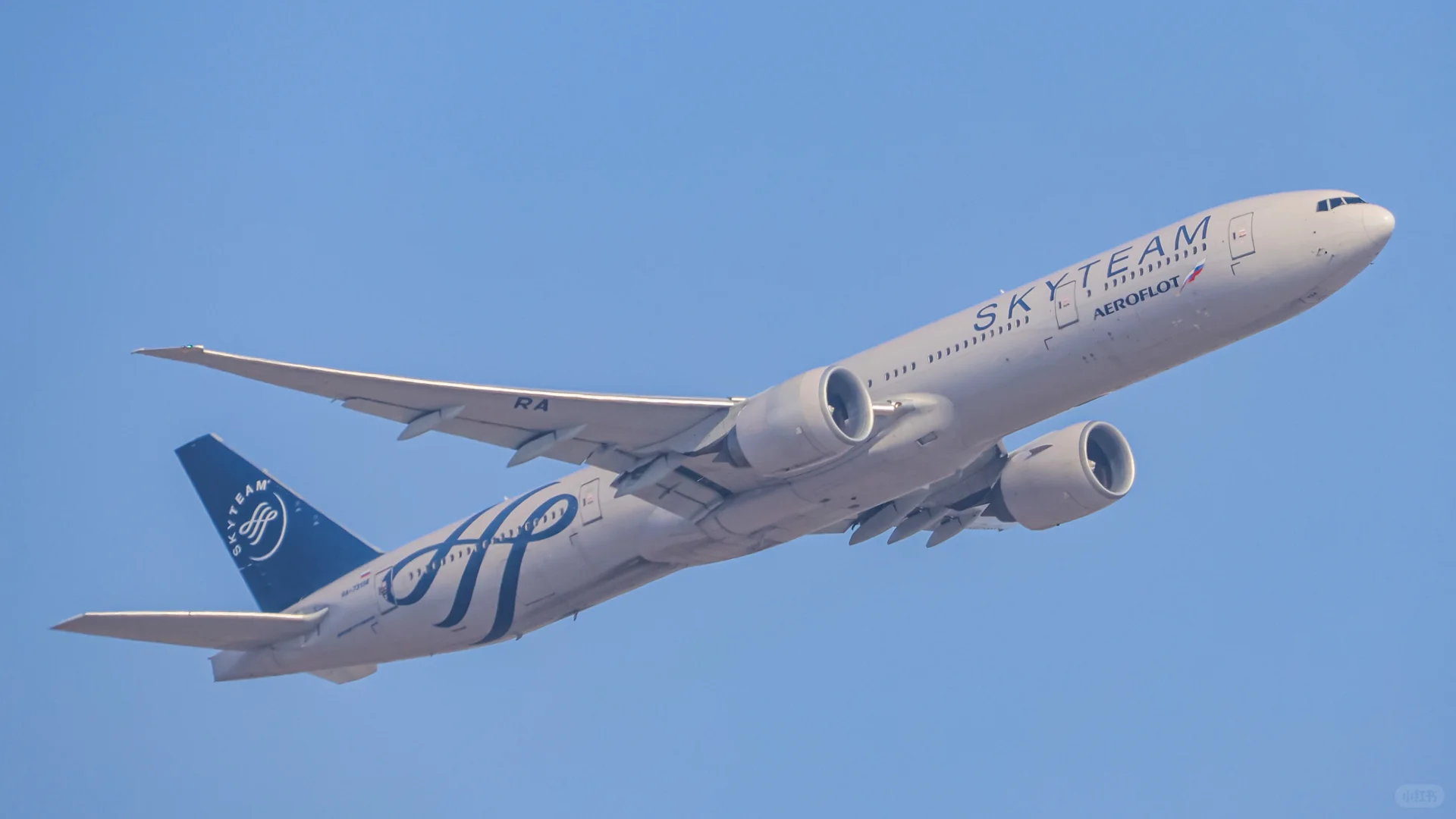 拍拉起给我拍爽了