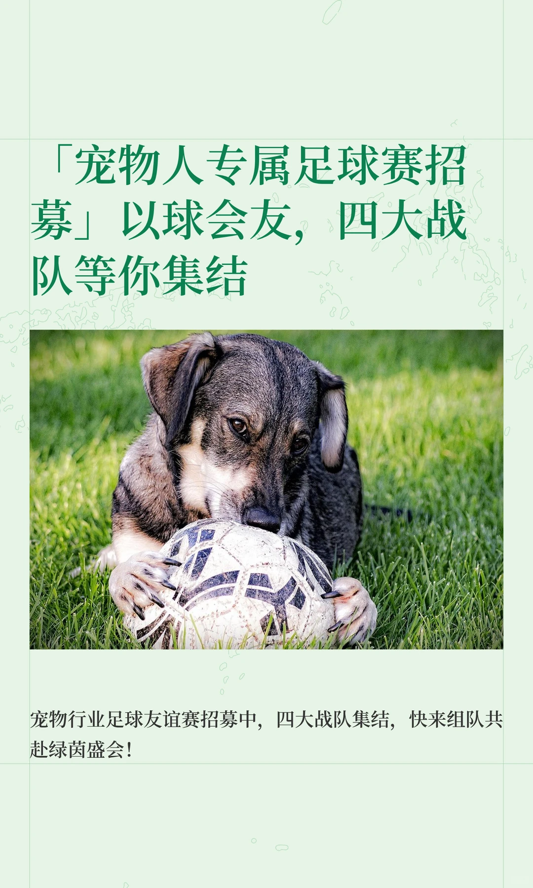 「宠物人专属足球赛招募啦」，年底盛会！
