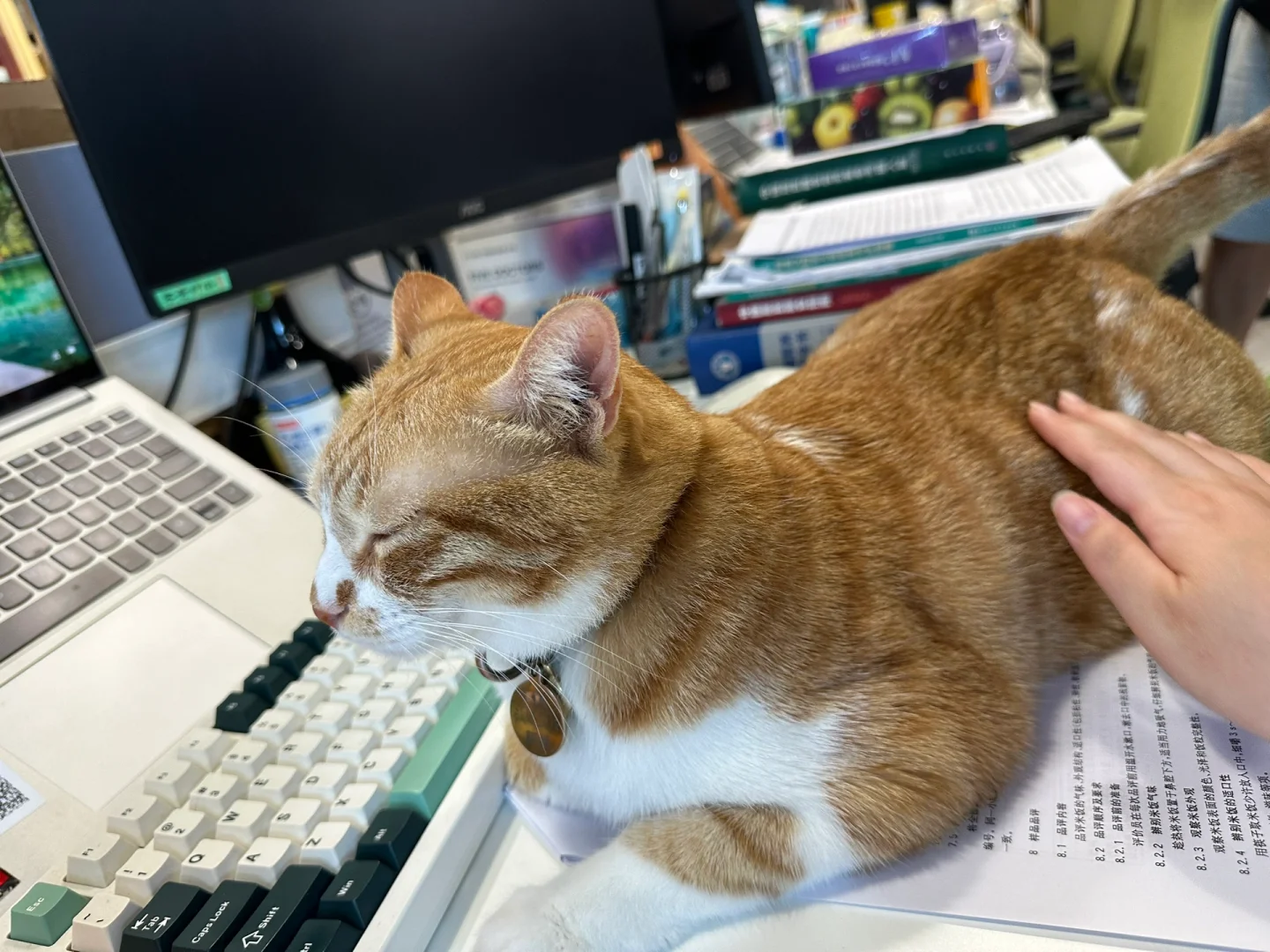 食品工厂审核,那些没经过美化的真实瞬间