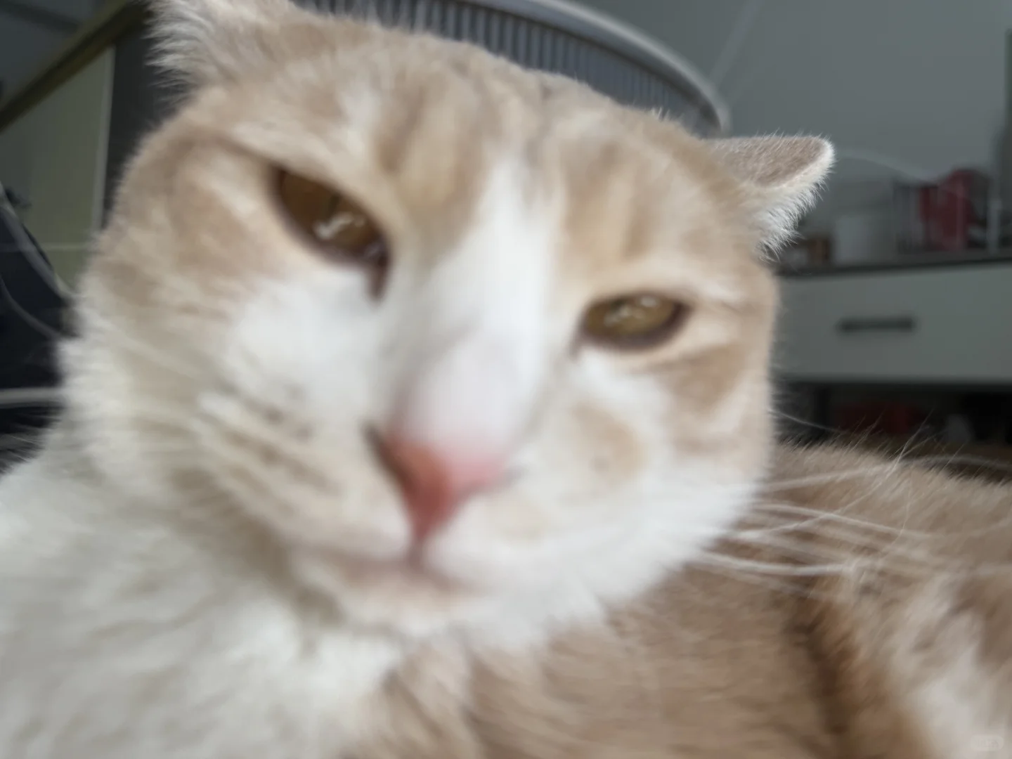 AAA建材批发咪总