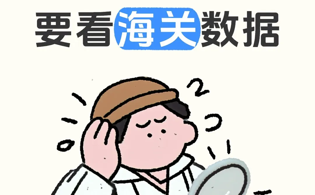 海关数据应该怎么看?