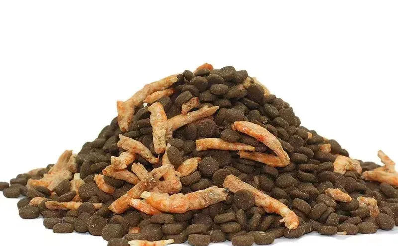 山东冠奇生物科技有限公司