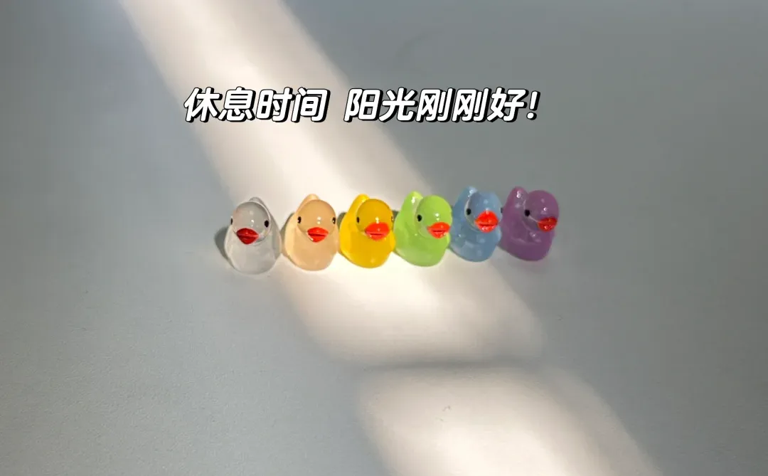 体验100种行业｜招投标工作日常plog?