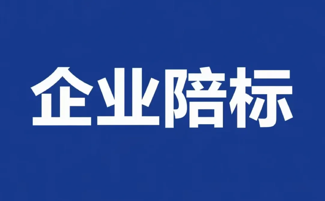 标书代做,全国服务