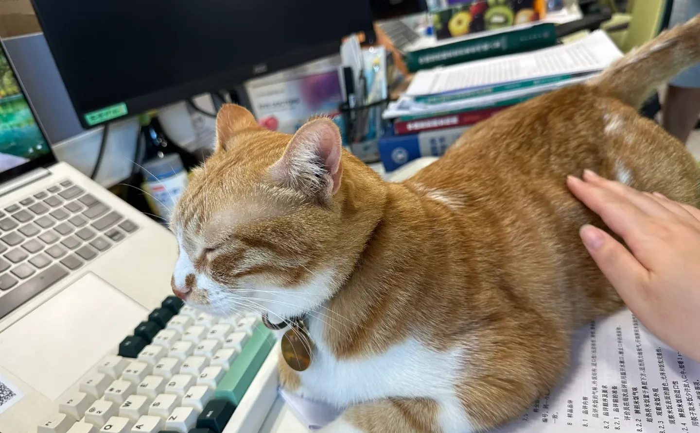 食品工厂审核,那些没经过美化的真实瞬间