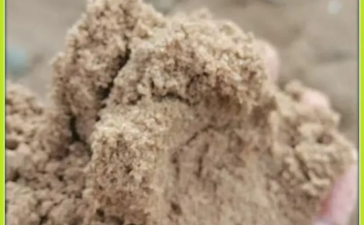 深圳盐田区粗砂哪家好