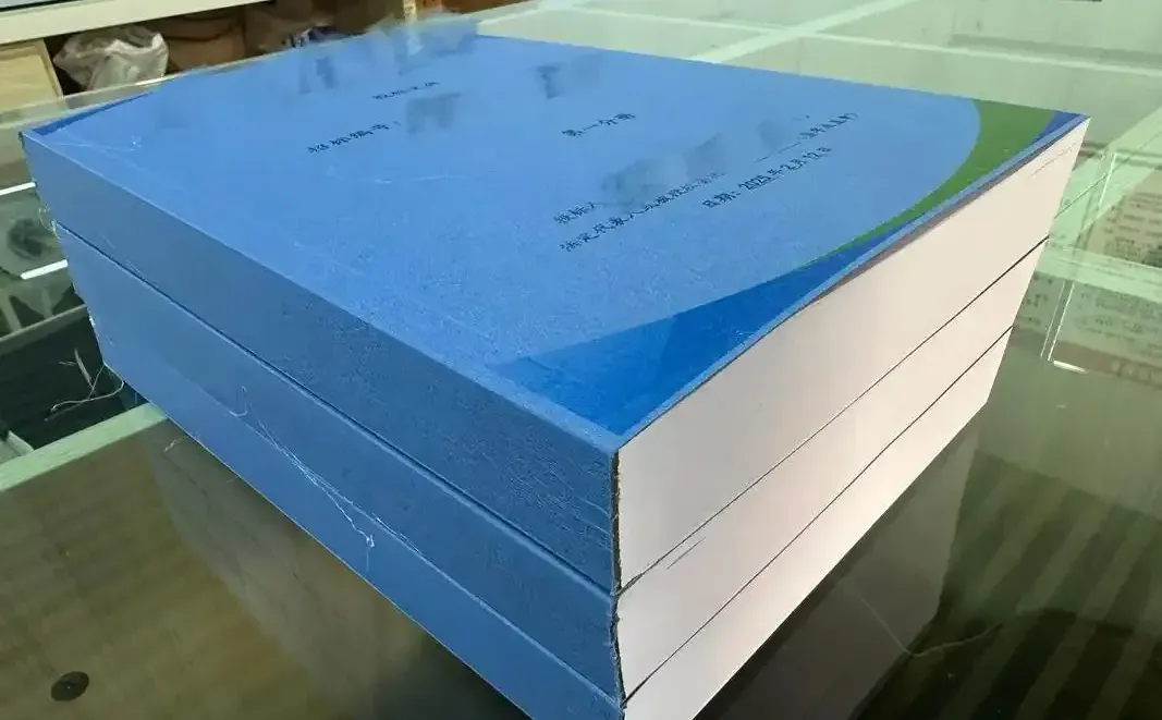 商务技术标，全套服务