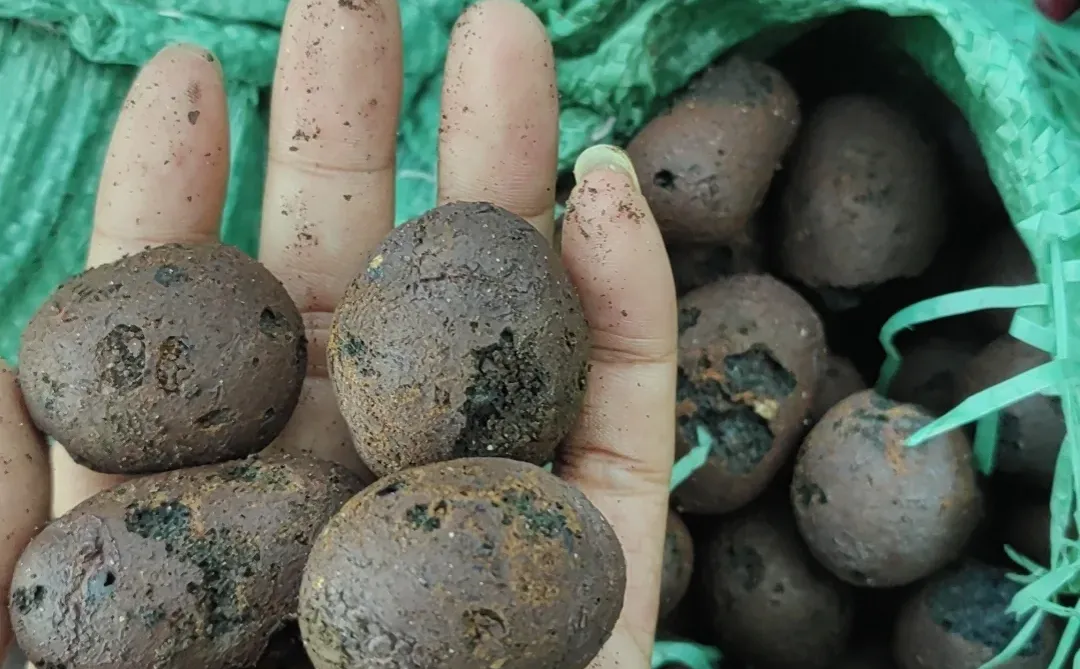 广州建材批发，水泥沙，石，砖包上楼