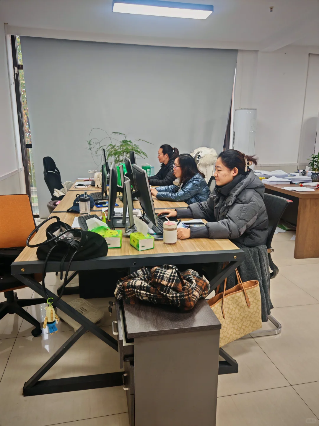 又双叒叕中标了!一份好标书,是客户和我们