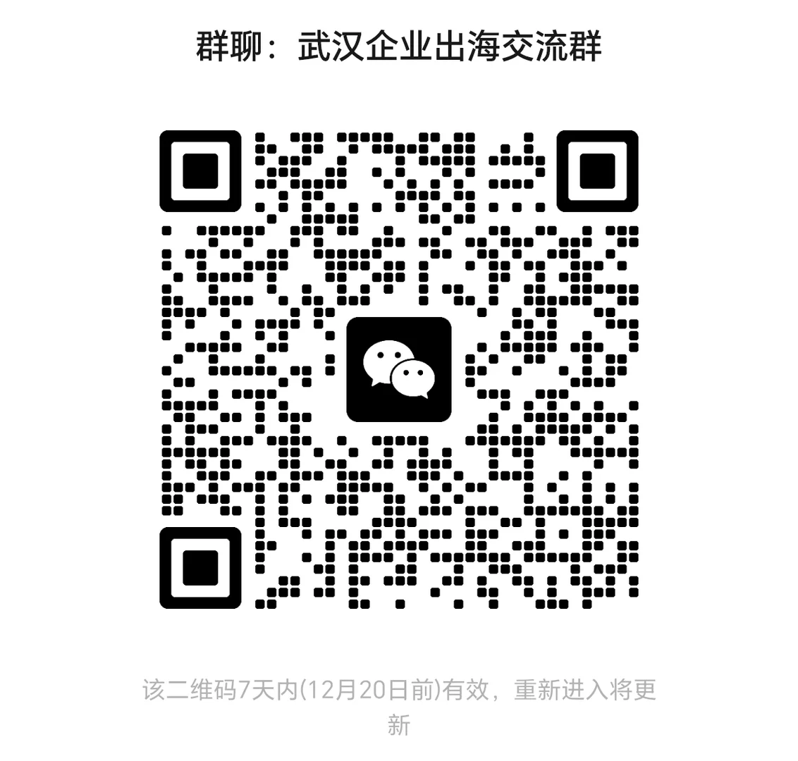 武汉企业出海交流