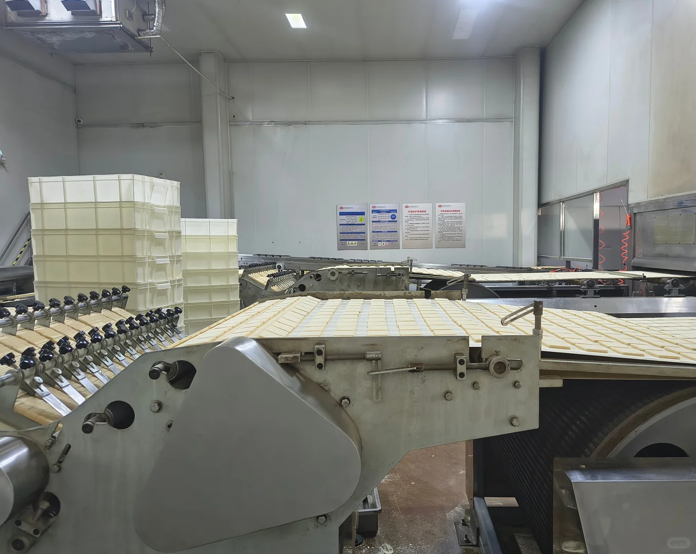 参观现代化食品厂，大为震撼!