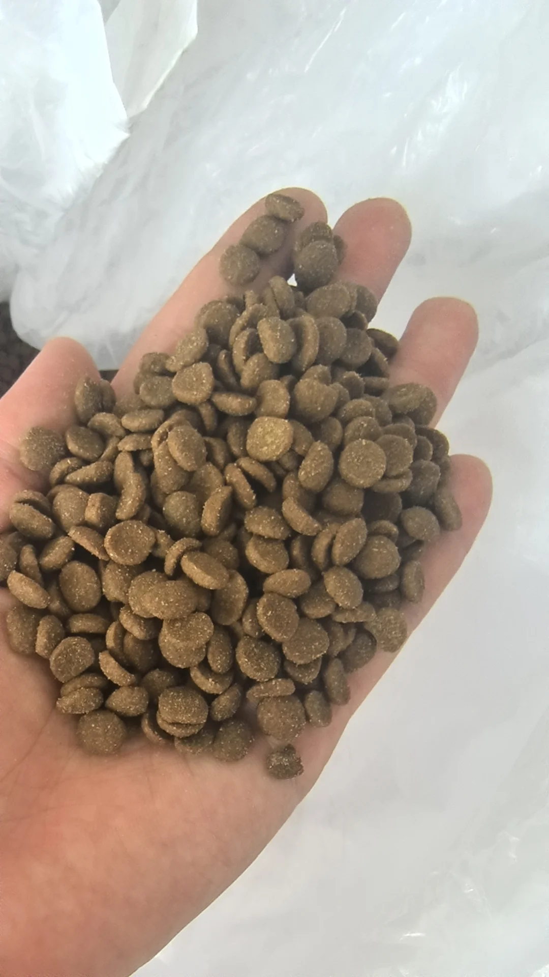 山东冠奇生物科技有限公司