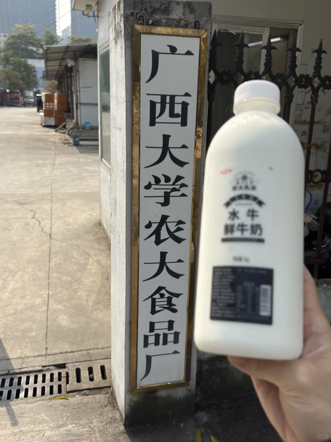 来到广西大学牛奶厂，喝奶打卡！