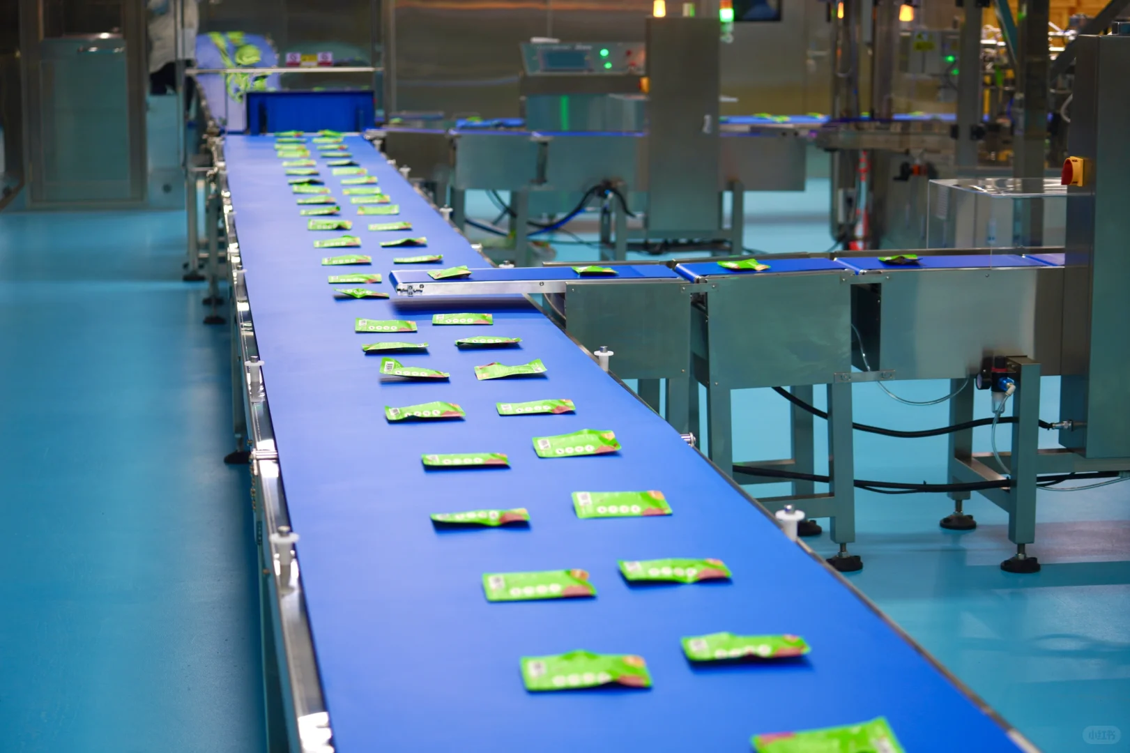 爆品零食工厂探秘!???各种肉加工