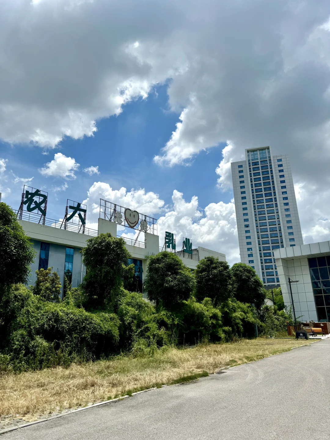 不会是真的吧？这家大学还有牛奶厂？