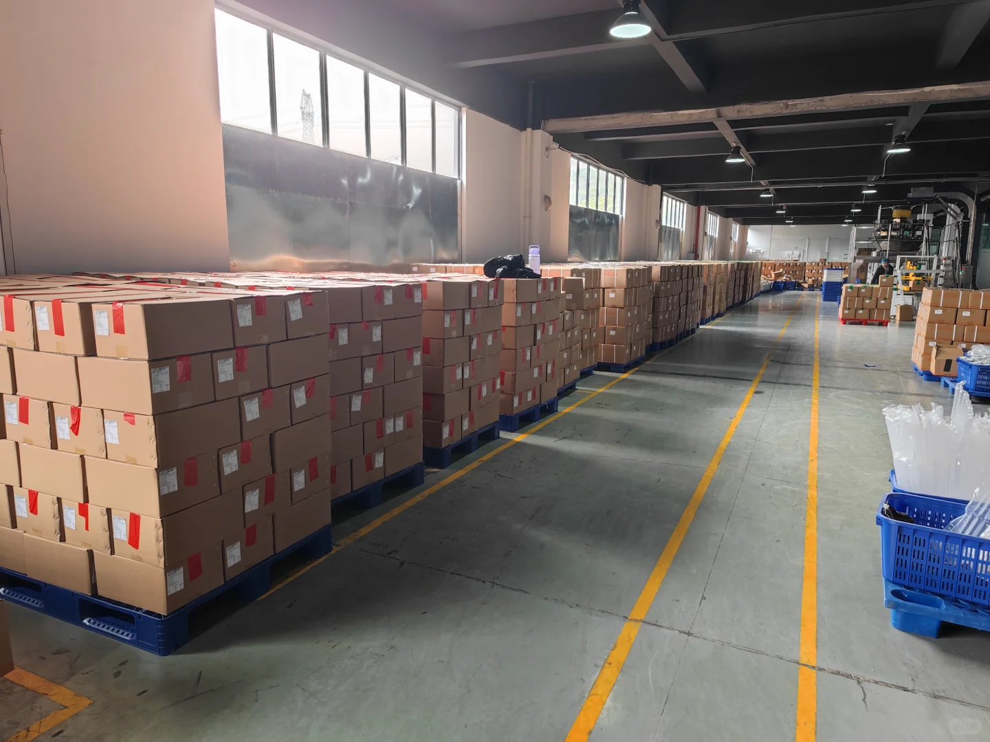 预制菜工厂实拍