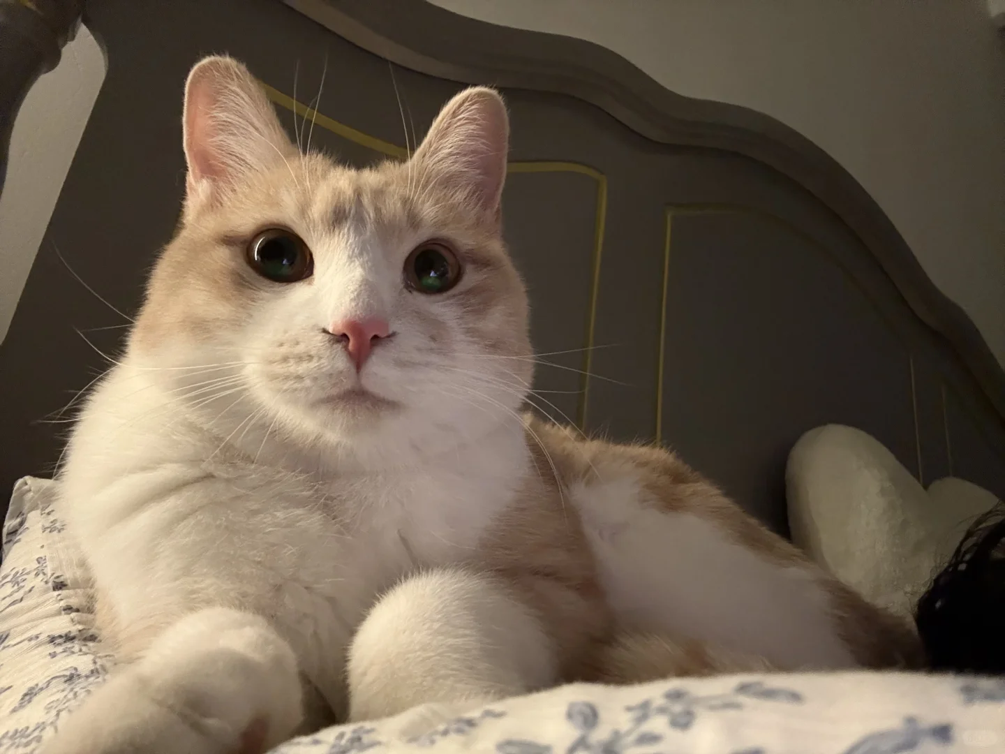 AAA建材批发咪总