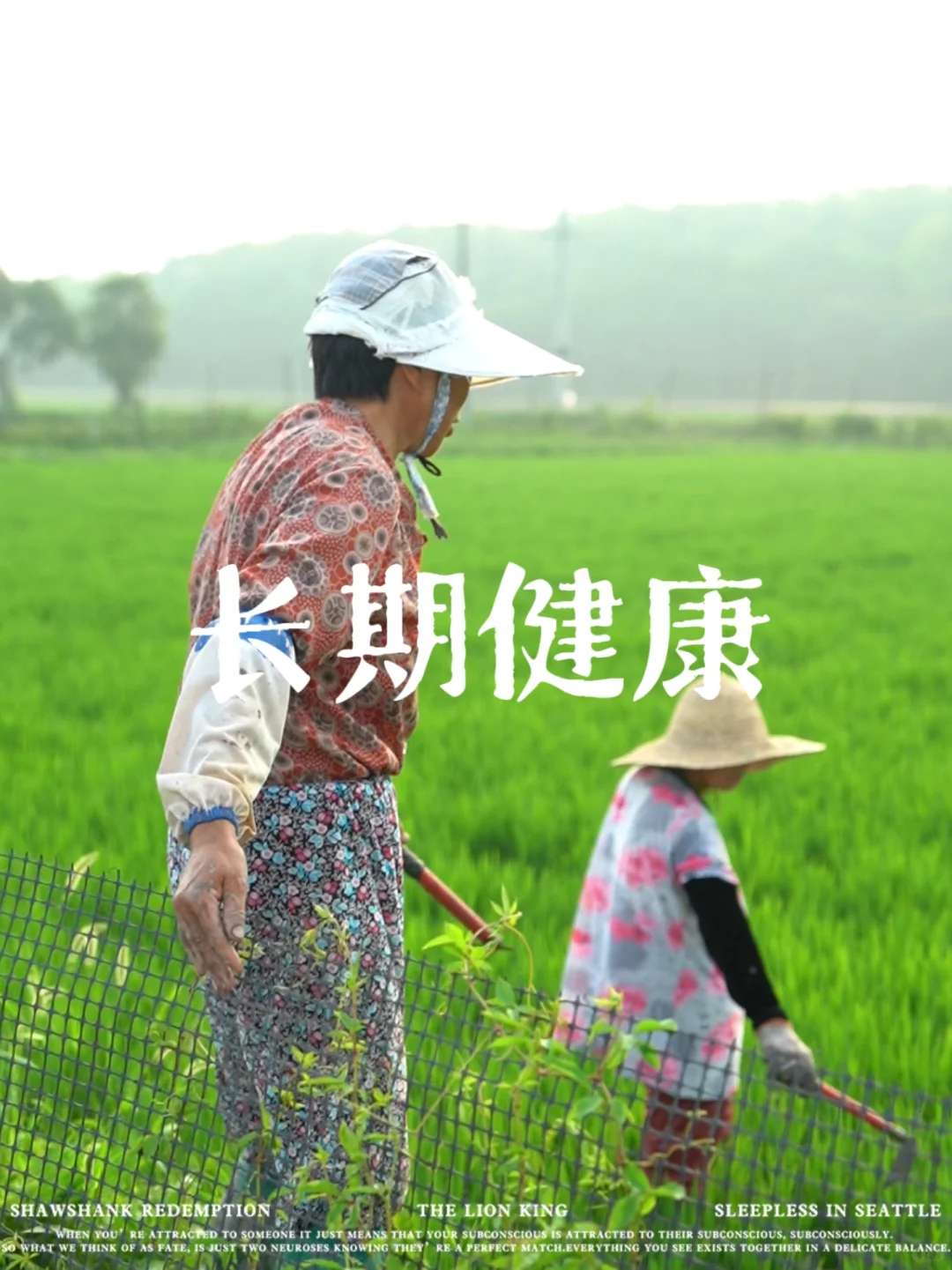 “我们今年少施有机肥了。”