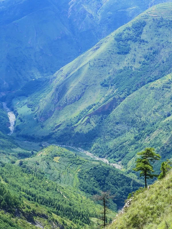 为什么企业都想上市?