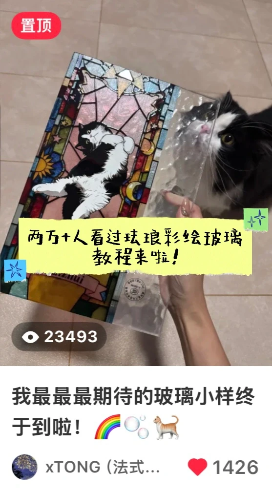 两万+人围观的猫咪?⬛珐琅彩绘玻璃攻略?