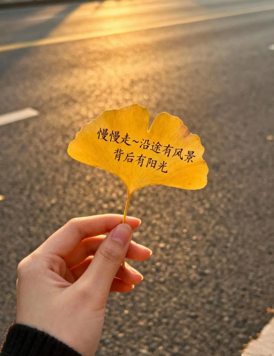 新来的会计税负率不会算,要崩溃了…快来