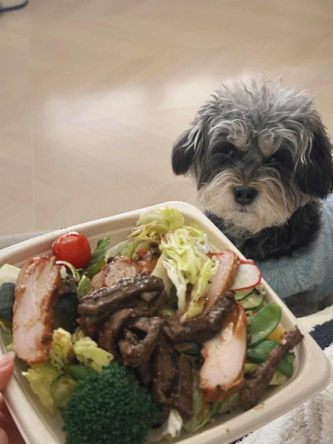 食品工厂审核,那些没经过美化的真实瞬间