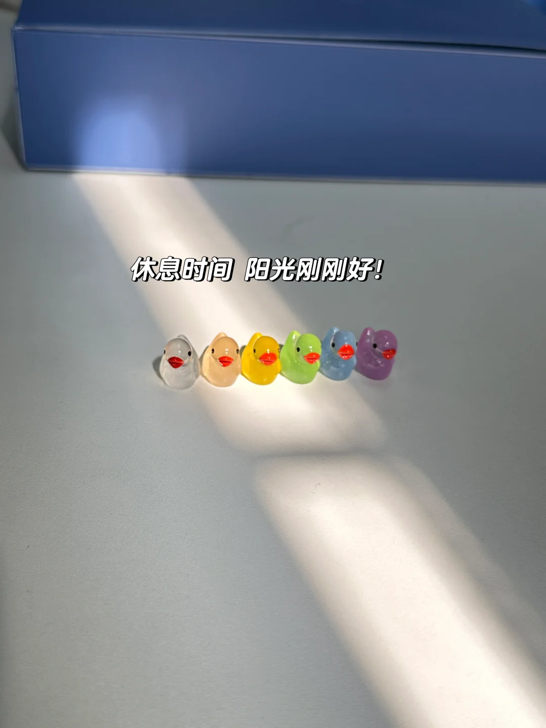 体验100种行业｜招投标工作日常plog?