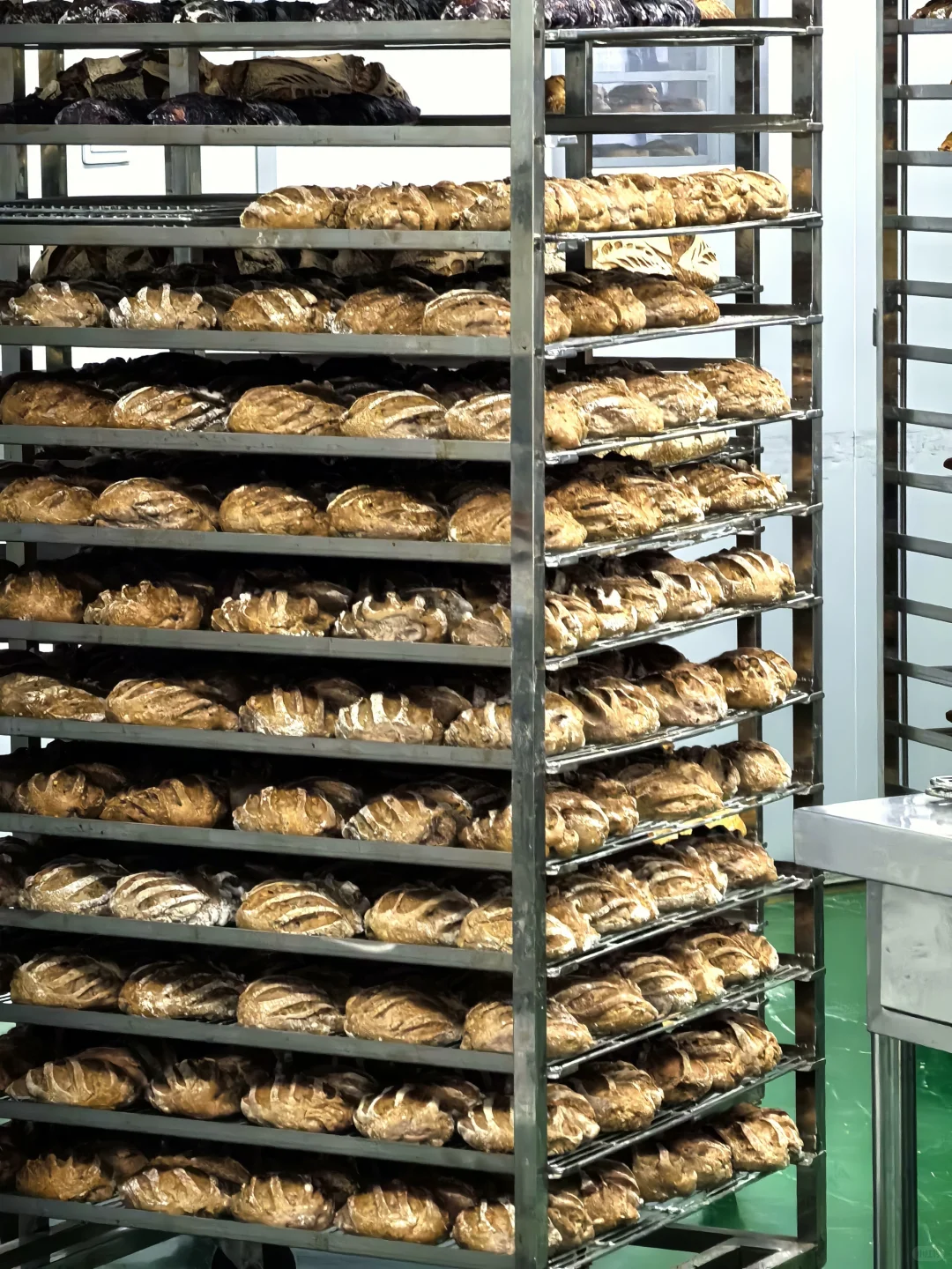 这是一家宝藏面包工厂