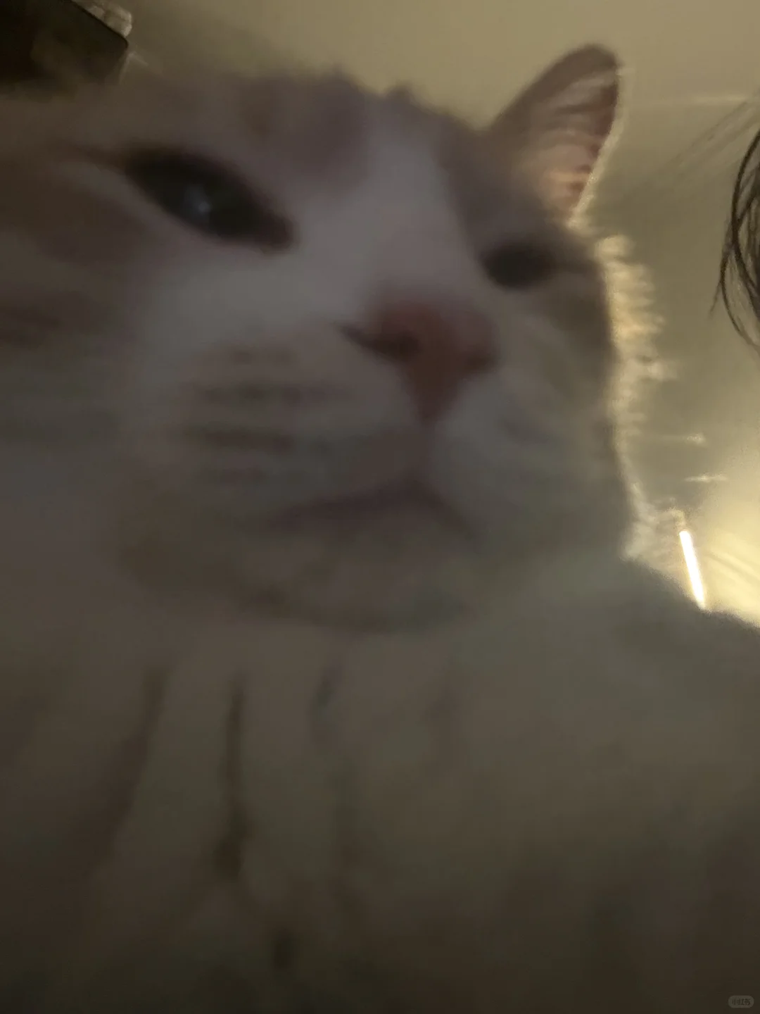 AAA建材批发咪总