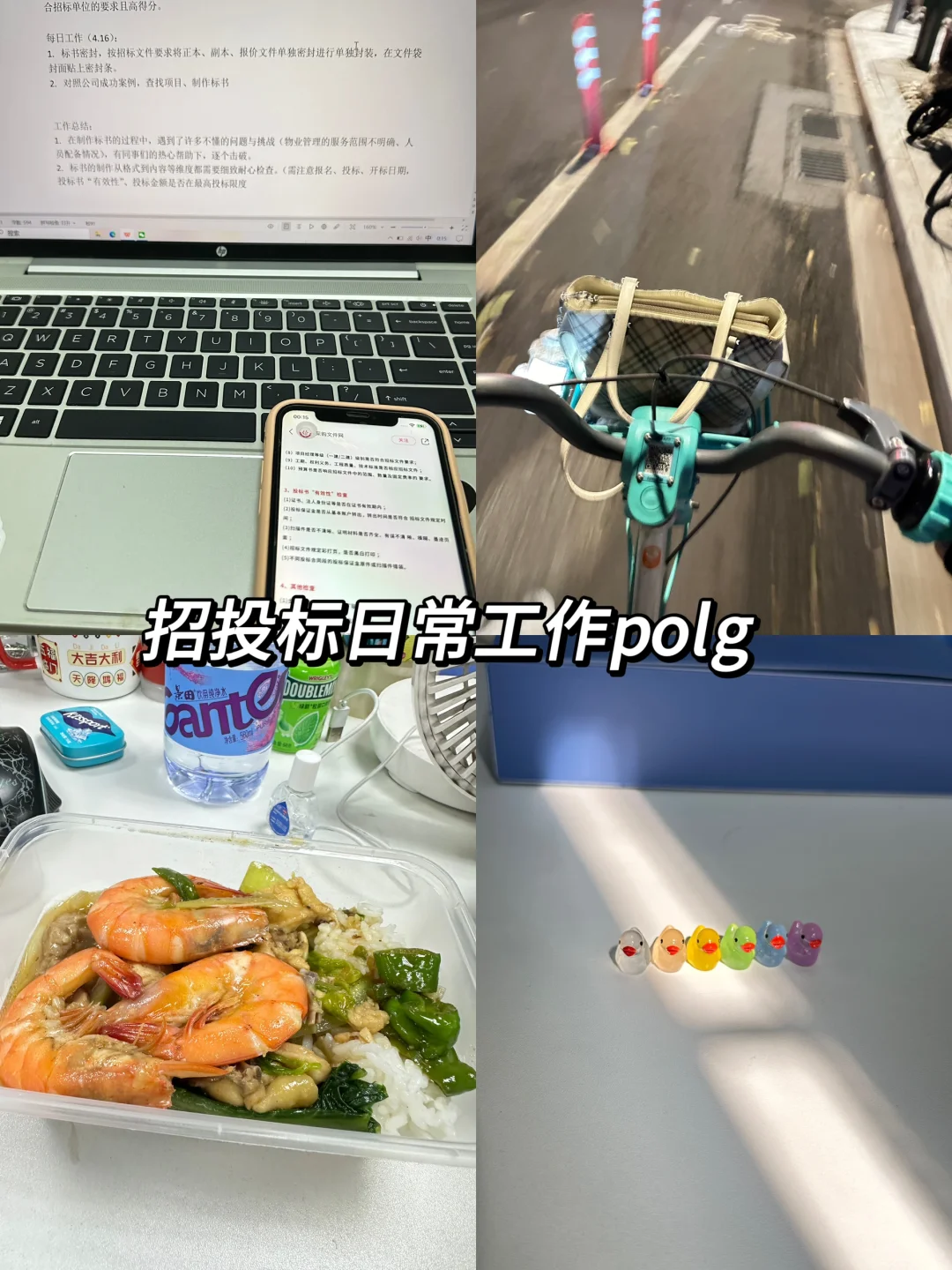 体验100种行业｜招投标工作日常plog?